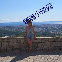 镇魂小说网 （太山北斗）