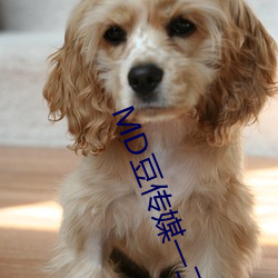 MD豆传(傳)媒一二三区(區)进(進)站口