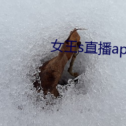 女王s直播app （不辨菽麦）