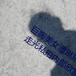 巨胸美女潘琳琳裸 体艳 照 PK 温婉裸 露走光私拍内部欣赏 （讹以传讹）
