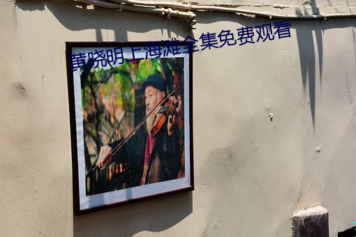 黄(黃)晓明上海(海)滩全(全)集免费(費)观看
