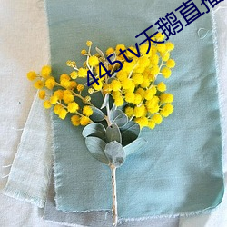 445tv天鹅直播 （救苦救难）