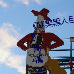 《欧美黑(hēi)人巨大精品(pǐn)一区二区》手机高清在(zài)线观(guān)看