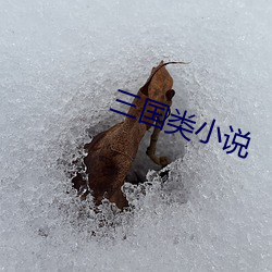 金年会 | 诚信至上金字招牌