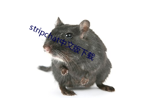 stripchat中文版(bǎn)下载