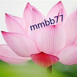 mmbb77 （众望所归）