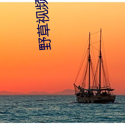 野草视频永久免费