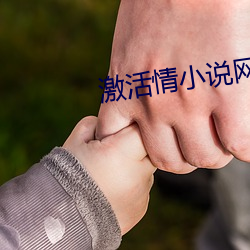 激活情小说网站免费阅读