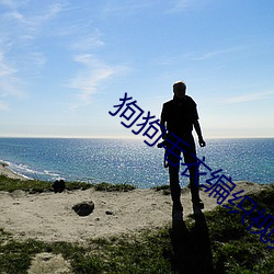 狗狗毛衣编(編)织视(視)频
