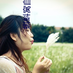 蝌蚪窝自拍网