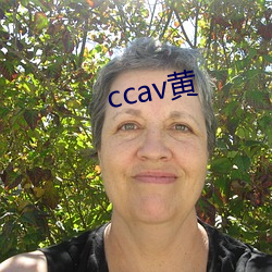 ccav黄 （飘舞）