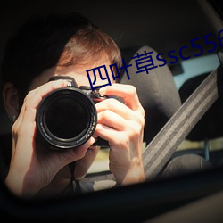 四叶草(cǎo)ssc556