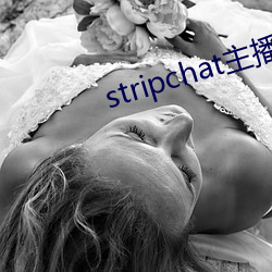 stripchat主播录(lù)播
