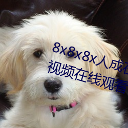 8x8x8x人成在免費視頻插槽8x插槽視頻在線觀看