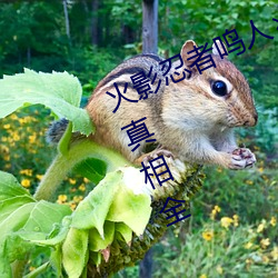 火(huǒ)影(yǐng)忍者鸣人所有人(rén)物画画有图有真相全