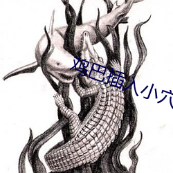 雞巴插入小穴裏的軟件