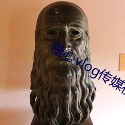 糖心vlog传媒(媒)视频在线观看下载