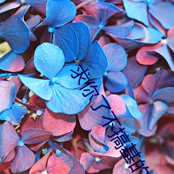 求你(nǐ)了不(bù)搞基(jī)的软件吗
