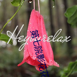 第七院影花花影 （里丑捧心）
