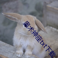 奧術神座txt下載