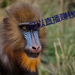 可以直播赚钱的(de)平台