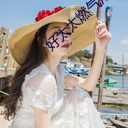 凯时|AG(AsiaGaming)优质运营商