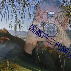 国(guó)富(fù)产二(èr)代网(wǎng)页