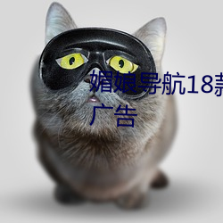 媚娘导航18款禁用软件去除烦人广告 （璧合珠连）