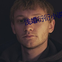 浅婚衍衍小说