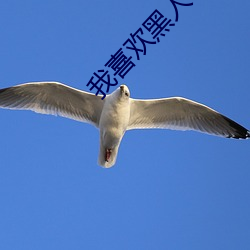 我(wǒ)喜(xǐ)欢黑人日(rì)我(wǒ)xxxx