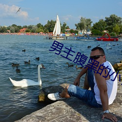 男主腹黑的小说