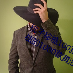 桃子移植100款黄油游戏手游(桃子移植的1000款黄油游戏) （一日千里）