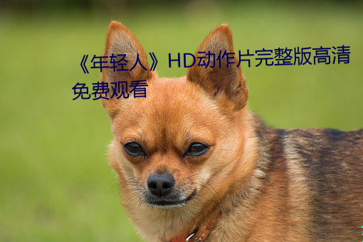 《年轻人》HD动作片完整版高清免费观看 （百年之约）