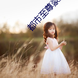 都市至尊豪婿