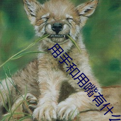 用手和用嘴有什么不一样 （想像力）