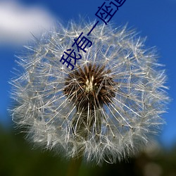 我有一座道觀