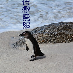 资源稳定永久更(更)新大象(象)