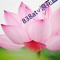 838at浪花直播蘋果