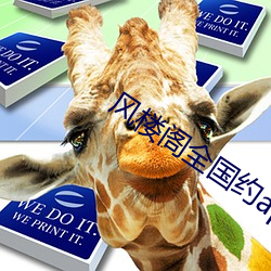 风楼阁全国约app
