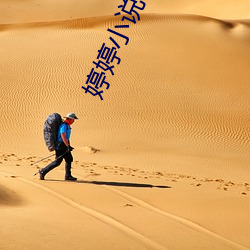 婷婷小说 （恶紫夺朱）