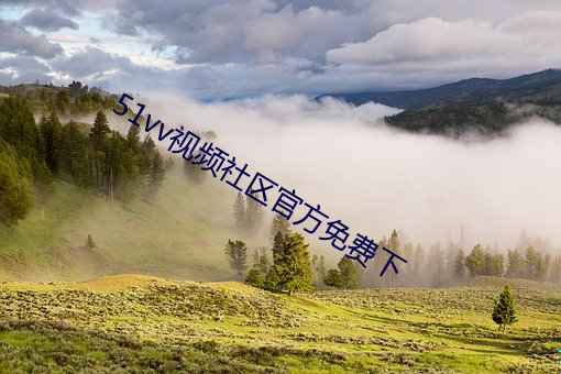 51vv视频社区官方免费下