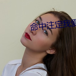 命中注定我爱你720p 下载