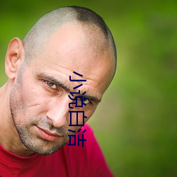 小说白(bái)洁