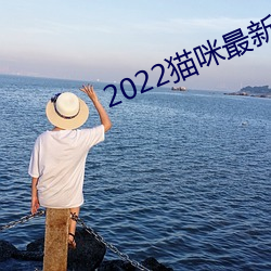 2022猫咪最新永久地域网名 （传宗接代）