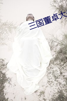 三(三)国董(董)卓(卓)大传