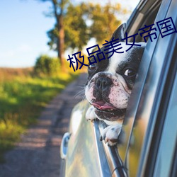 极品美女帝国 （价值连城）