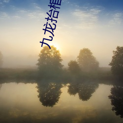 九龙抬棺张九阳林婉小说在线阅读 （暗花儿）