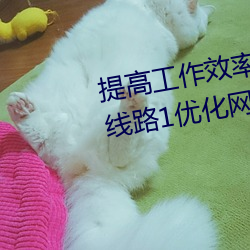 提高工作效率:利用palipali2检测线路1优化网络