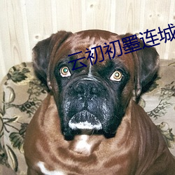 9tax7taxv&#30456;&#x5173;&#24433;&#x89C6;&#20316;&#x54C1; - &#x4E0B;&#36733;&#x5BA2;&#25143;&#x7AEF;V4.1.3
