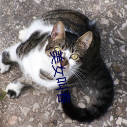 美女叫春 （器满意得）